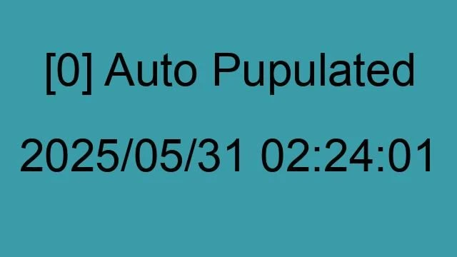 [0] Auto 2025/05/31 02:24:01