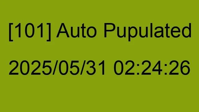 [101] Auto 2025/05/31 02:24:26