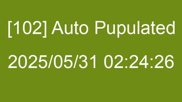 [102] Auto 2025/05/31 02:24:26