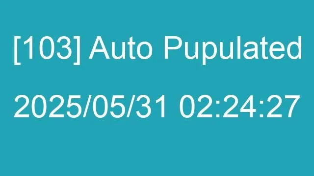 [103] Auto 2025/05/31 02:24:27