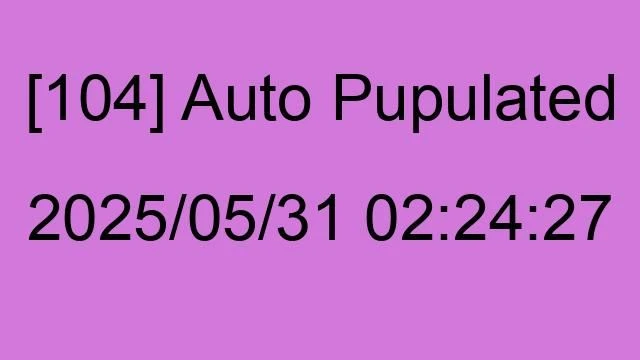 [104] Auto 2025/05/31 02:24:27