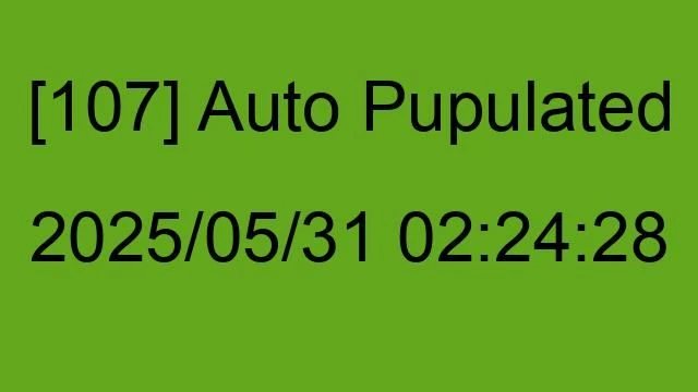 [107] Auto 2025/05/31 02:24:28
