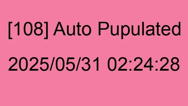 [108] Auto 2025/05/31 02:24:28