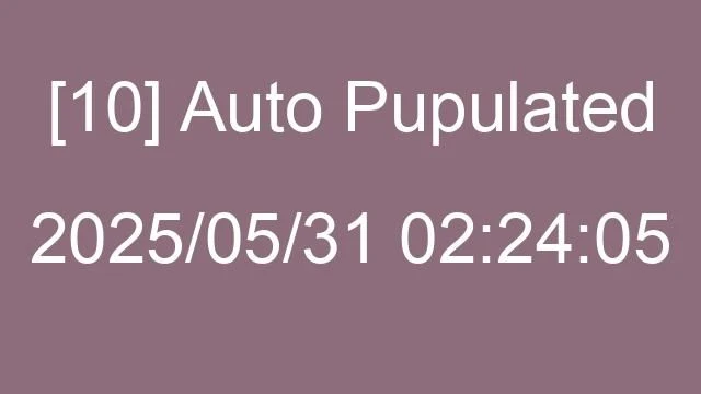 [10] Auto 2025/05/31 02:24:05