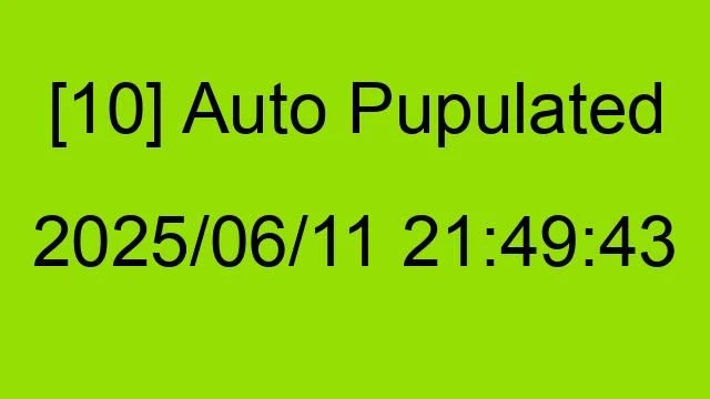 [10] Auto 2025/06/11 21:49:43