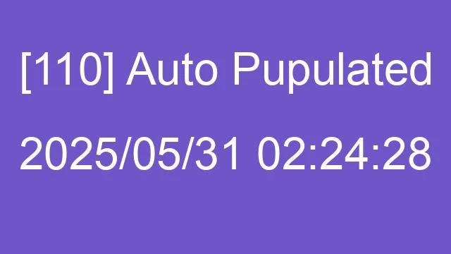 [110] Auto 2025/05/31 02:24:28