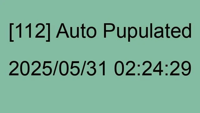 [112] Auto 2025/05/31 02:24:29