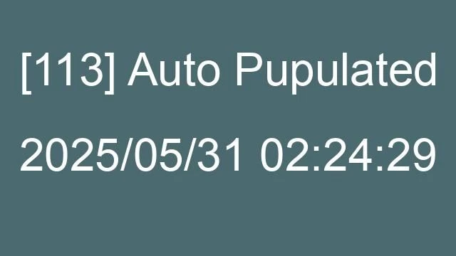 [113] Auto 2025/05/31 02:24:29