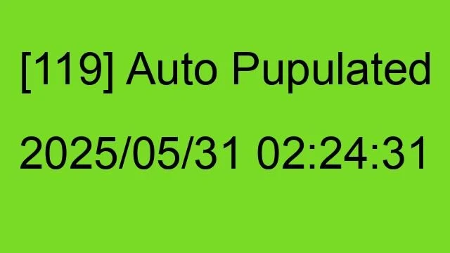 [119] Auto 2025/05/31 02:24:31