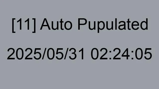 [11] Auto 2025/05/31 02:24:05