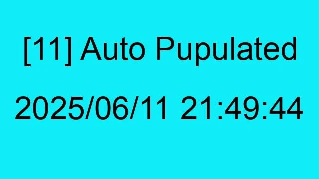 [11] Auto 2025/06/11 21:49:44