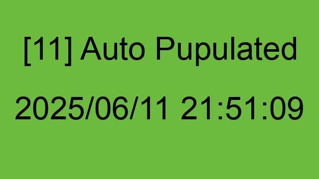 [11] Auto 2025/06/11 21:51:09