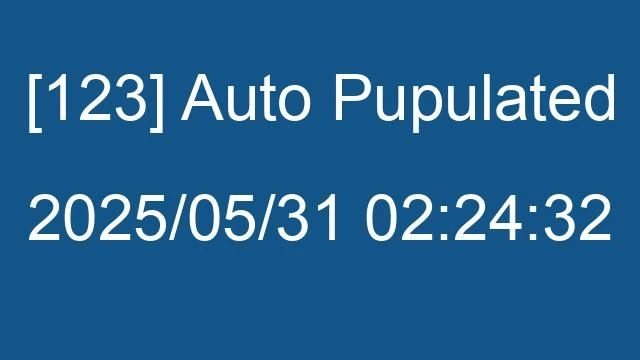 [123] Auto 2025/05/31 02:24:32