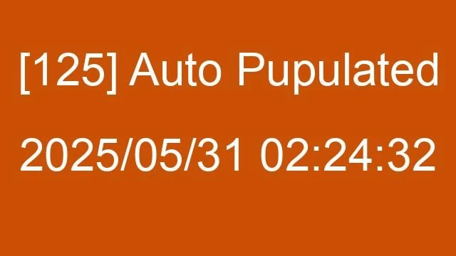 [125] Auto 2025/05/31 02:24:32
