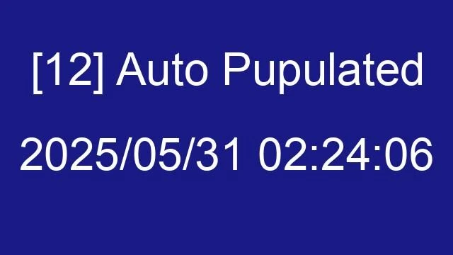 [12] Auto 2025/05/31 02:24:06