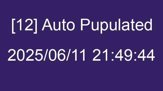 [12] Auto 2025/06/11 21:49:44