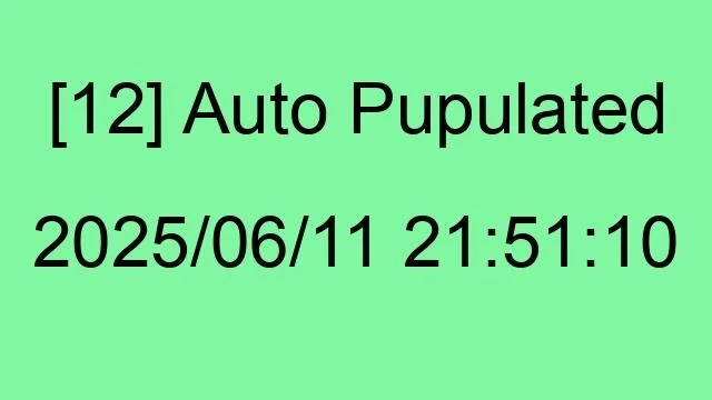 [12] Auto 2025/06/11 21:51:10