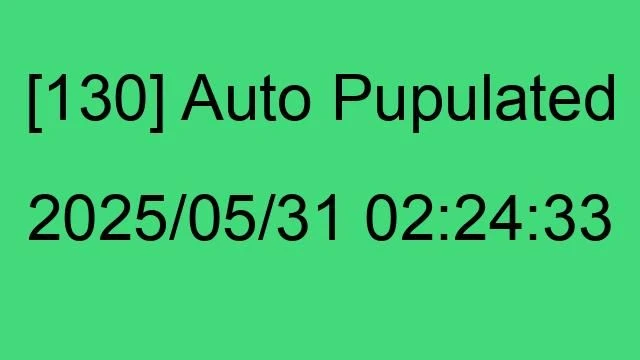 [130] Auto 2025/05/31 02:24:33
