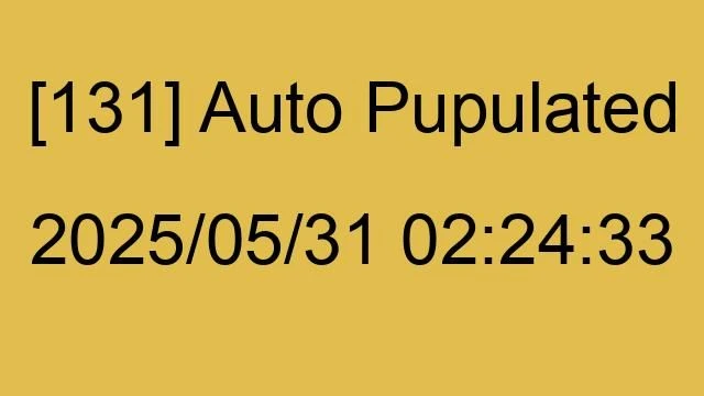 [131] Auto 2025/05/31 02:24:33