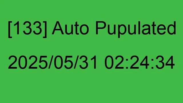 [133] Auto 2025/05/31 02:24:34