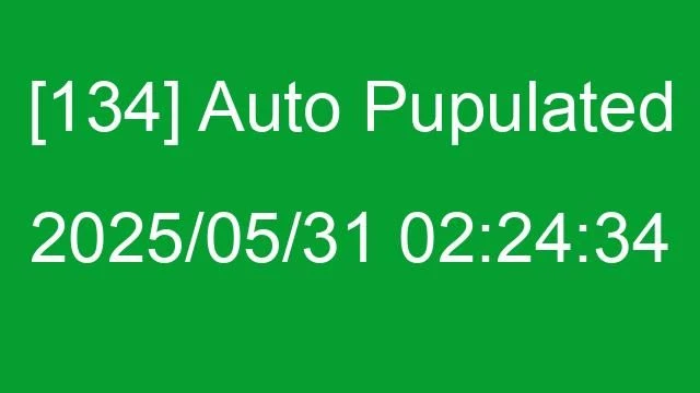 [134] Auto 2025/05/31 02:24:34