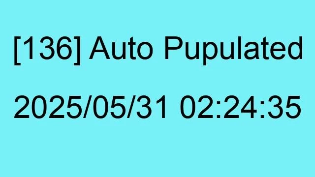 [136] Auto 2025/05/31 02:24:35