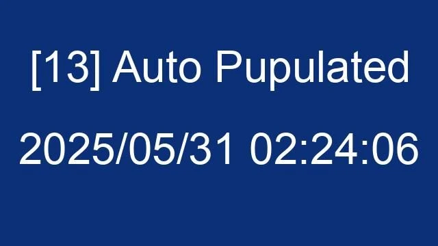 [13] Auto 2025/05/31 02:24:06