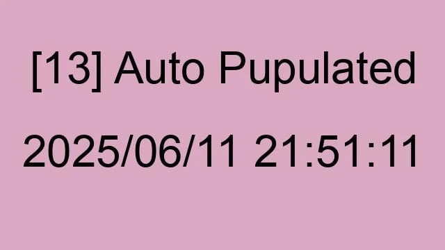 [13] Auto 2025/06/11 21:51:11