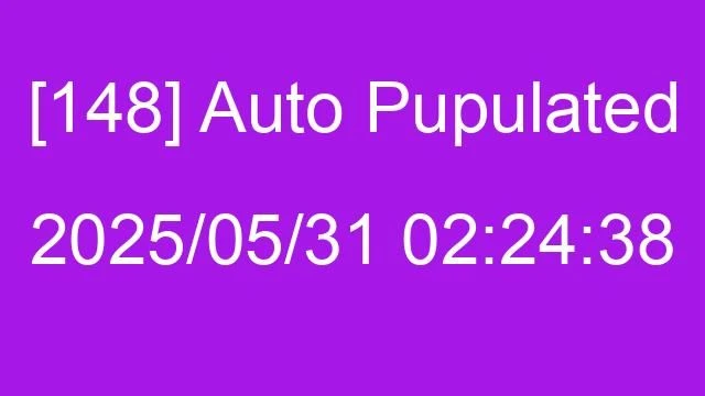 [148] Auto 2025/05/31 02:24:38