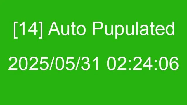 [14] Auto 2025/05/31 02:24:06
