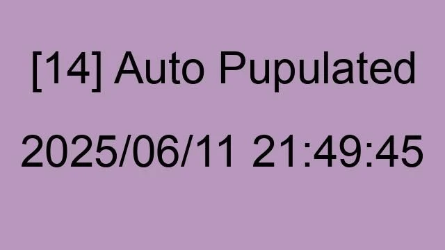 [14] Auto 2025/06/11 21:49:45