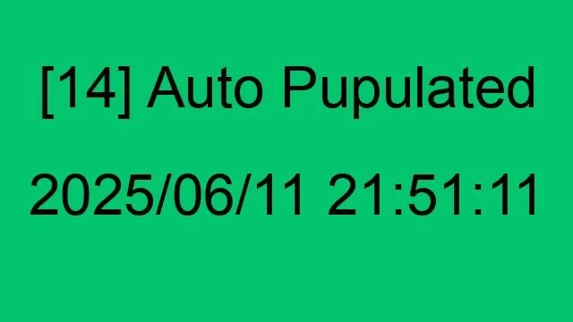 [14] Auto 2025/06/11 21:51:11
