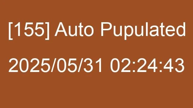 [155] Auto 2025/05/31 02:24:43