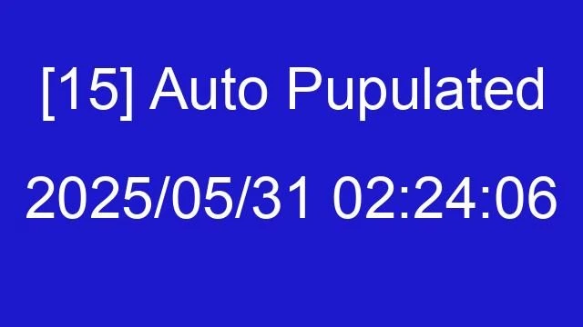 [15] Auto 2025/05/31 02:24:06