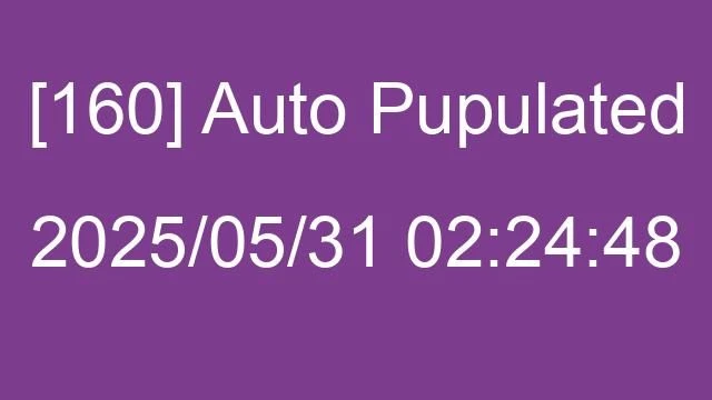 [160] Auto 2025/05/31 02:24:48