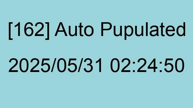 [162] Auto 2025/05/31 02:24:50