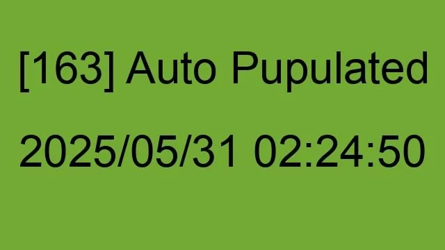 [163] Auto 2025/05/31 02:24:50