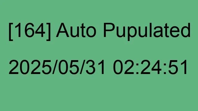 [164] Auto 2025/05/31 02:24:51