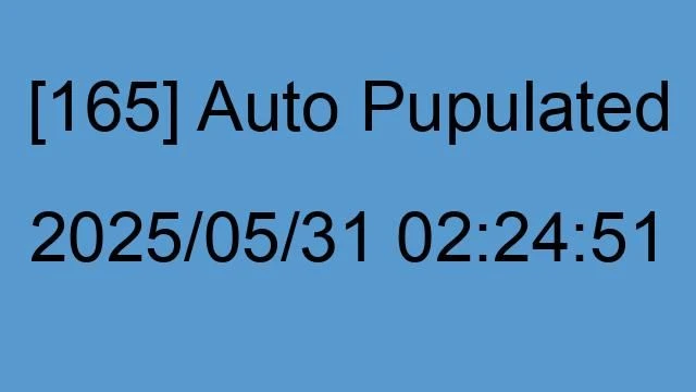 [165] Auto 2025/05/31 02:24:51
