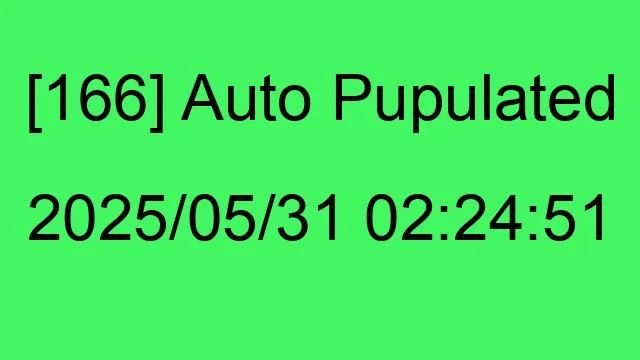 [166] Auto 2025/05/31 02:24:51