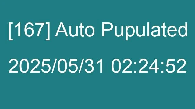 [167] Auto 2025/05/31 02:24:52