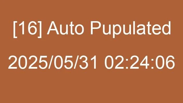 [16] Auto 2025/05/31 02:24:06