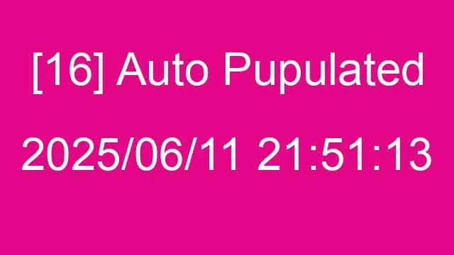 [16] Auto 2025/06/11 21:51:13