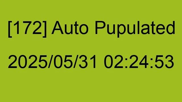 [172] Auto 2025/05/31 02:24:53