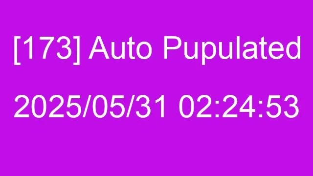 [173] Auto 2025/05/31 02:24:53