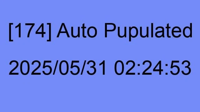 [174] Auto 2025/05/31 02:24:53
