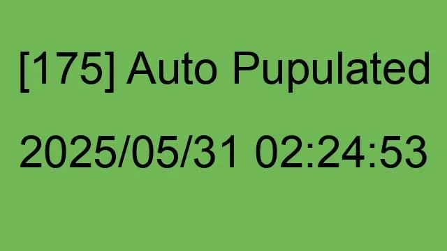 [175] Auto 2025/05/31 02:24:53
