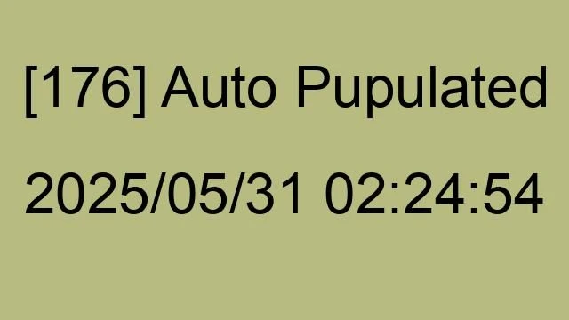 [176] Auto 2025/05/31 02:24:54