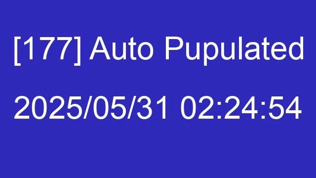 [177] Auto 2025/05/31 02:24:54