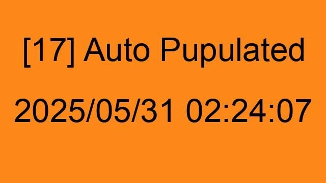 [17] Auto 2025/05/31 02:24:07